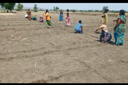 ನರೇಗಾ ಕೆಲಸದ ನಂತರ ಕಾರ್ಮಿಕರಿಗೆ ಕಬಡ್ಡಿ, ಖೋಖೋ ಆಟ!