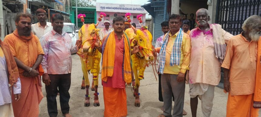 ಕಾರ ಹುಣ್ಣಿಮೆಯಂದು ಶ್ರೀ ಮಠದ ಎತ್ತುಗಳ ಮೆರವಣಿಗೆ