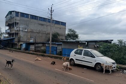 ಬೀದಿ ನಾಯಿಗಳ ಹಾವಳಿಗೆ ಬೆಚ್ಚಿಬಿದ್ದ ನೇಸರಗಿ ಜನತೆ