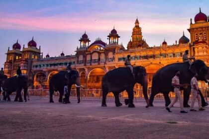 ಮೈಸೂರು ದಸರಾ ಗಜಪಡೆಗೆ 1 ಕೋಟಿ ರೂ.ಗೂ ಹೆಚ್ಚು ಮೊತ್ತದ ವಿಮೆ ಮಾಡಿಸಿದ ಅರಣ್ಯ ಇಲಾಖೆ!