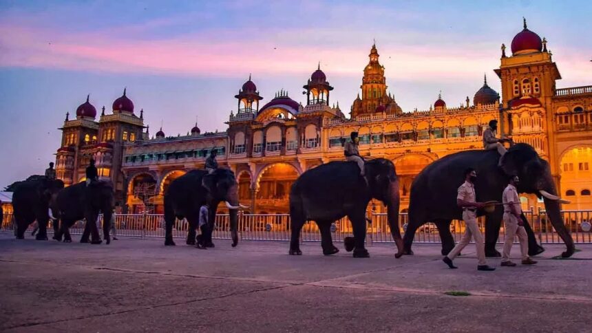 ಮೈಸೂರು ದಸರಾ ಗಜಪಡೆಗೆ 1 ಕೋಟಿ ರೂ.ಗೂ ಹೆಚ್ಚು ಮೊತ್ತದ ವಿಮೆ ಮಾಡಿಸಿದ ಅರಣ್ಯ ಇಲಾಖೆ!