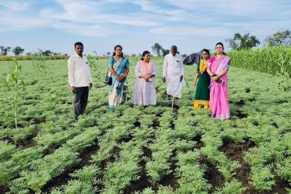 ಇಬ್ಬನಿಯಿಂದ ಕೃಷಿ ಉತ್ಪನ್ನಗಳನ್ನು ರಕ್ಷಿಸಿಕೊಳ್ಳಲು ರೈತರಿಗೆ ಇಲಾಖೆ ಸಲಹೆ