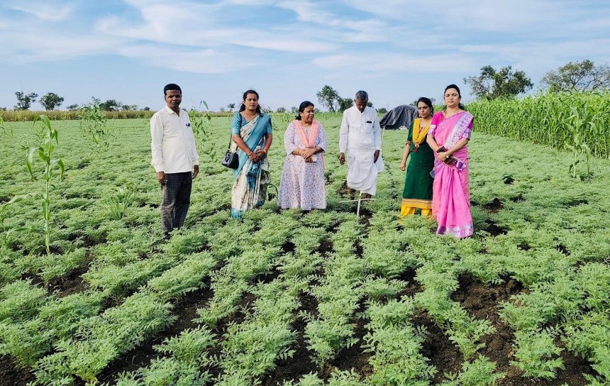 ಇಬ್ಬನಿಯಿಂದ ಕೃಷಿ ಉತ್ಪನ್ನಗಳನ್ನು ರಕ್ಷಿಸಿಕೊಳ್ಳಲು ರೈತರಿಗೆ ಇಲಾಖೆ ಸಲಹೆ