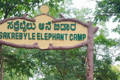 ಕಿರು ಪ್ರವಾಸ ಕಥನ: ಸಕ್ರೆಬೈಲು – ಆನೆಗಳ ಬಿಡಾರ
