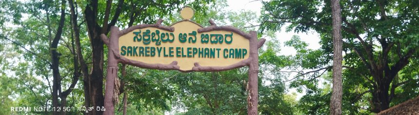ಕಿರು ಪ್ರವಾಸ ಕಥನ: ಸಕ್ರೆಬೈಲು – ಆನೆಗಳ ಬಿಡಾರ