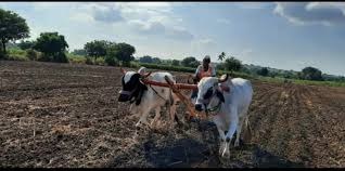 ಮುಂಗಾರು ಹಂಗಾಮು ಪ್ರಾರಂಭ; ರೈತರು ಮಾಗಿ ಉಳುಮೆ ಅನುಸರಿಸಿ: ಸೋಮಸುಂದರ್