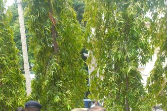 ಬಾಲ ಬಿಚ್ಚಿದರೆ ಹುಷಾರ್; ಮಾಜಿ ಹಾಲಿ  ರೌಡಿಶೀಟರ್ ಗಳಿಗೆ ಎಸ್. ಪಿ ಶೋಭಾ ರಾಣಿ ಖಡಕ್ ವಾರ್ನಿಂಗ್ 