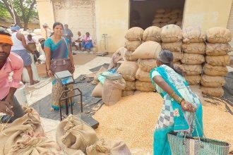 ಕನಿಷ್ಠ ಬೆಂಬಲ ಬೆಲೆ ಯೋಜನೆಯಡಿ ಜೋಳ ಖರೀದಿ ಮಾರ್ಪಾಡು