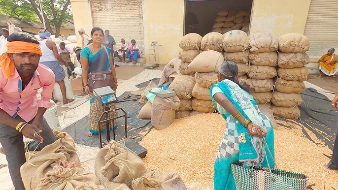 ಕನಿಷ್ಠ ಬೆಂಬಲ ಬೆಲೆ ಯೋಜನೆಯಡಿ ಜೋಳ ಖರೀದಿ ಮಾರ್ಪಾಡು