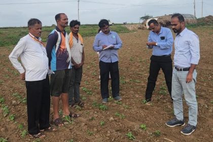 ಕೀಟ ಬಾಧೆ ಮತ್ತು ರೋಗ ನಿರ್ವಹಣೆ: ಕೃಷಿ ವಿಜ್ಞಾನಿಗಳ ಸಲಹೆ