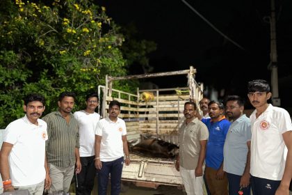 ಆಕಳು ಕರುಗೆ ಗಂಭೀರ ಗಾಯ : ಅರ್ಧ ರಾತ್ರಿಯಲ್ಲಿ ಚಿಕಿತ್ಸೆ ನೀಡಿ ಮಾನವೀಯತೆ ಮೆರೆದ ಗೋ ರಕ್ಷಣಾ ಸಮಿತಿ