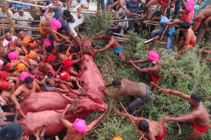 ಕಾಗವಾಡದಲ್ಲಿ ಸಂಭ್ರಮದ ಕಾರ ಹುಣ್ಣಿಮೆ