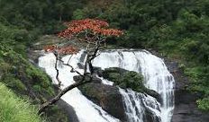   ಶ್ರಾವಣಾ ಬಂತು ಶ್ರಾವಣ..!