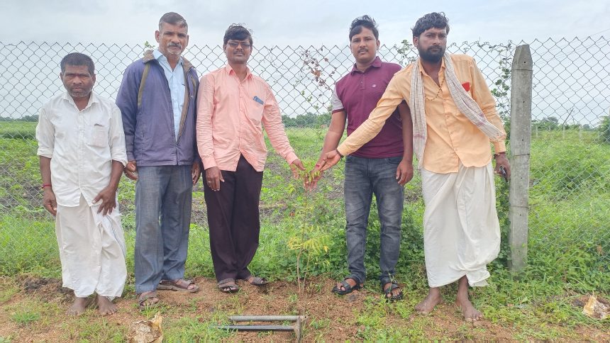 ಹಸಿರು ಭೂಮಿ ಆಂದೋಲನ ಕಾರ್ಯಕ್ರಮ ಆಚರಣೆ