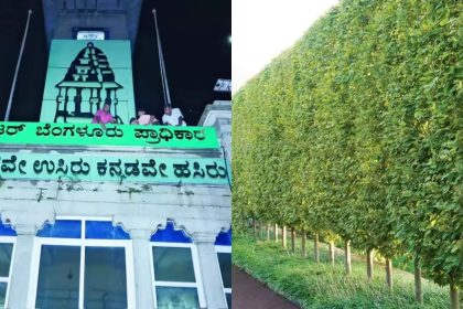 ಬಿಬಿಎಂಪಿ ಹಾಗೂ ಇತರ ಸಂಘ ಸಂಸ್ಥೆಗಳು ನೆಟ್ಟ 25,000 ಕ್ಕೂ ಹೆಚ್ಚು ಕೊನೊಕಾರ್ಪಸ್ ಗಿಡಗಳ ತೆರವು