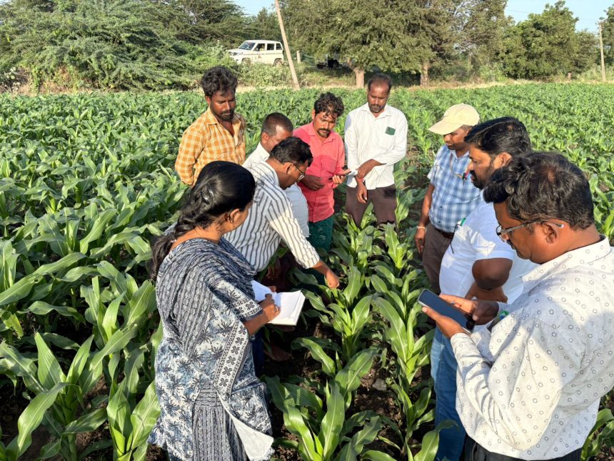  ರೂಪನಗುಡಿ ಹೋಬಳಿಯ ಹೊಲಗಳಿಗೆ ಭೇಟಿ ನೀಡಿ ರೈತರಿಗೆ ಸಲಹೆಗಳು ನೀಡಿದ ಅಧಿಕಾರಿಗಳು