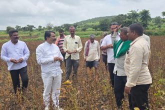 ಬೆಳೇ ಪರಿಹಾರ ನೀಡದೆ ರೈತರ ಜೀವಕ್ಕೆ ಕುತ್ತು : ಸಂಜಯ ಪಾಟೀಲ 