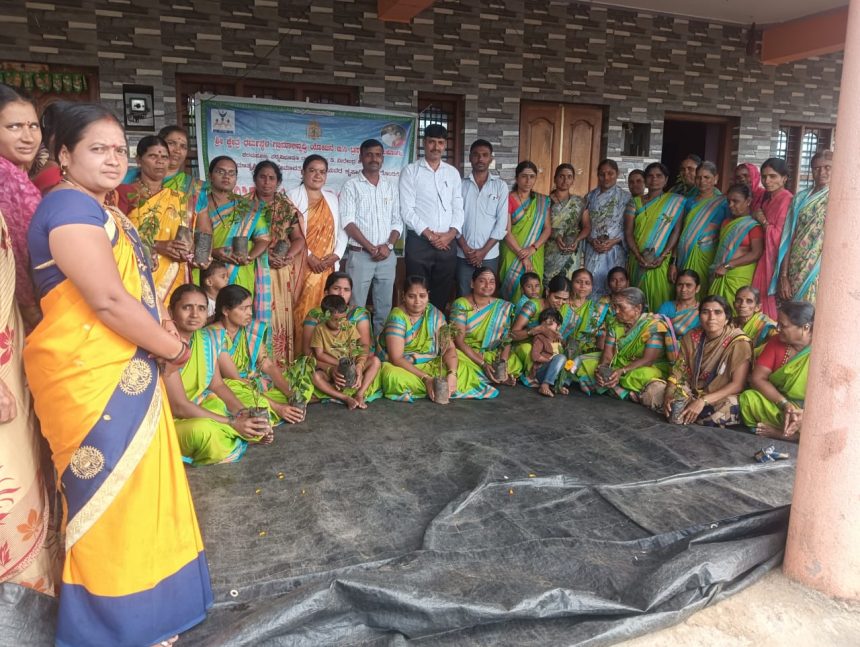 ಮಲ್ಲಿಗೆ ಸಸಿ ನಾಟಿ ಅಧ್ಯಯನ ಶಿಬಿರ ಮಲ್ಲಿಗೆ ಸಸಿ ನಾಟಿ ಅಧ್ಯಯನ ಶಿಬಿರ