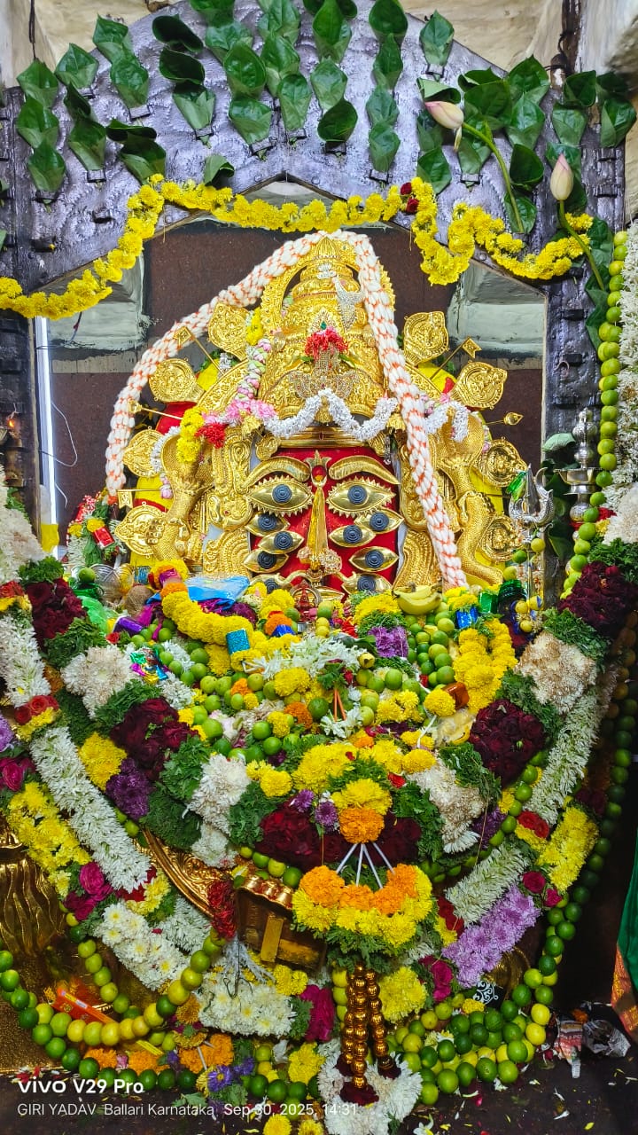 ದುರ್ಗಾಷ್ಠಮಿ ಪ್ರಯುಕ್ತ ಕನಕದುರ್ಗಮ್ಮ ದೇವಿಯ ದರ್ಶನ ಪಡೆದ 3 ಲಕ್ಷಕ್ಕೂ ಅಧಿಕ ಭಕ್ತರು