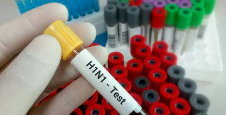 ಬೆಂಗಳೂರಿನಲ್ಲಿ ಹೆಚ್ಚುತ್ತಿದೆ ಹಂದಿ ಜ್ವರ ಬೆಂಗಳೂರಿನಲ್ಲಿ ಹೆಚ್ಚುತ್ತಿದೆ ಹಂದಿ ಜ್ವರ