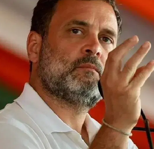 ಬೆಂಗಳೂರು ಕೇಂದ್ರ ಲೋಕಸಭಾ ಕ್ಷೇತ್ರದಲ್ಲಿ ಮತದಾರರ ಪಟ್ಟಿಯಲ್ಲಿ ಅಕ್ರಮ ಆರೋಪ: ಎಸ್‌ಐಟಿ ತನಿಖೆಗೆ ಸುಪ್ರೀಮ್‌ ನಕಾರ
