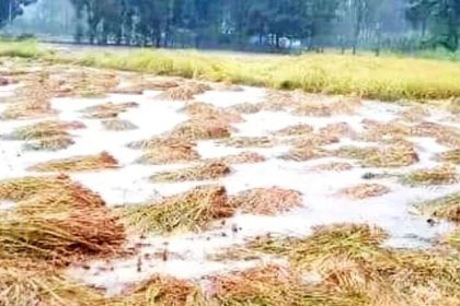 30 ದಿನಗಳಲ್ಲಿ ರೈತರಿಗೆ ಬೆಳೆಹಾನಿ ಪರಿಹಾರ: ಸಚಿವ ಕೃಷ್ಣ ಬೈರೇಗೌಡ ಭರವಸೆ