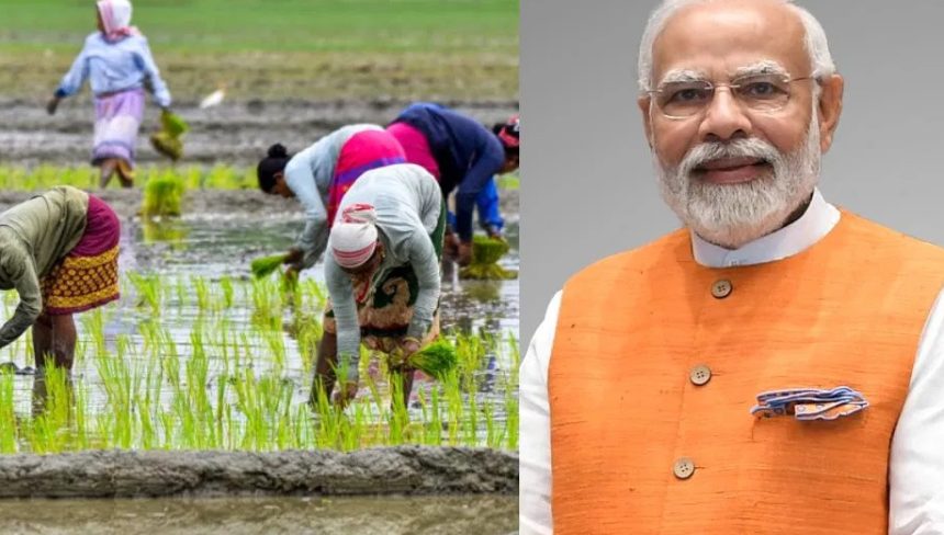 ನಾಳೆ ಹಾವೇರಿ ಮತ್ತು ಗದಗ ಜಿಲ್ಲೆಯಲ್ಲಿ ಪ್ರಧಾನ ಮಂತ್ರಿ ಧನ್ ಧಾನ್ಯ ಕೃಷಿ ಯೋಜನೆ ನಾಳೆ ಹಾವೇರಿ ಮತ್ತು ಗದಗ ಜಿಲ್ಲೆಯಲ್ಲಿ ಪ್ರಧಾನ ಮಂತ್ರಿ ಧನ್ ಧಾನ್ಯ ಕೃಷಿ ಯೋಜನೆ