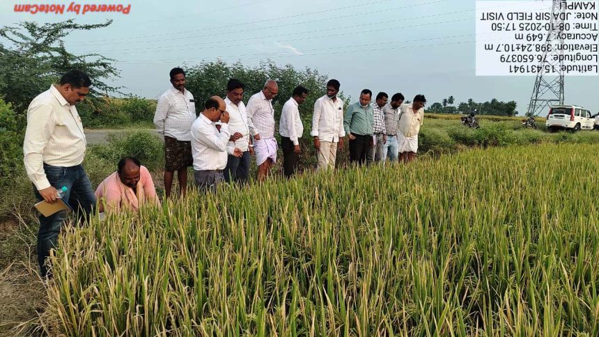 ಭತ್ತದ ಬೆಳೆಯಲ್ಲಿ ದುಂಡಾಣು ಎಲೆ ಚುಕ್ಕಿ ರೋಗ ನಿರ್ವಹಣೆಗೆ ಮುಂಜಾಗ್ರತಾ ಕ್ರಮವಹಿಸಲು ಸಲಹೆ