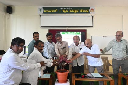 ಚಿಯಾ ಸೂಪರ್ ಫುಡ್-ಪರ್ಯಾಯ ಬೆಳೆ