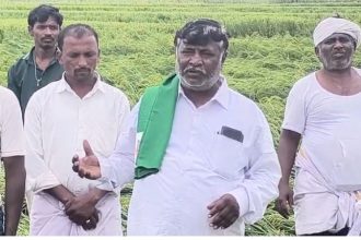 ಧರಾಶಾಹಿಯಾದ ಭತ್ತ: ಪರಿಹಾರಕ್ಕೆ ಸಂಪತ್ ಕುಮಾರಗೌಡ ಮನವಿ