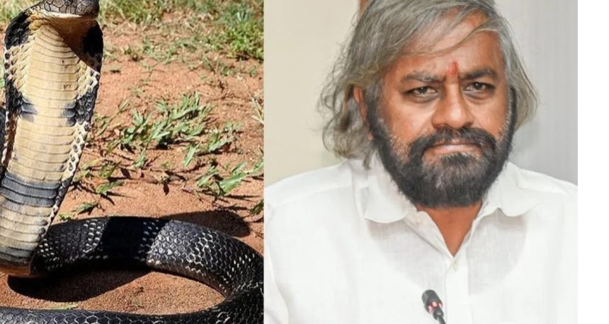 ಕಾಳಿಂಗ ಸರ್ಪ ಸಂರಕ್ಷಣೆಗೆ ಸಚಿವ ಖಂಡ್ರೆ ಸೂಚನೆ