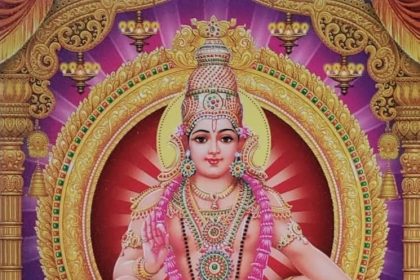 ಮಿದುಳು ತಿನ್ನುವ ಅಮೀಬಾ: ಆರೋಗ್ಯ ಸಚಿವಾಲಯದಿಂದ ಸುರಕ್ಷತಾ ಸಲಹಾ ಮಾರ್ಗಸೂಚಿ