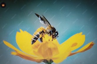 ಕುಸಿಯುತ್ತಿರುವ ಜೇನುಹುಳುಗಳ ಸಂತತಿ ಮಾನವಕುಲದ ವಿನಾಶಕ್ಕೆ ಕಾರಣವಾದೀತು ಪ್ರಕೃತಿಯ ಮೌನ ಎಚ್ಚರಿಕೆ