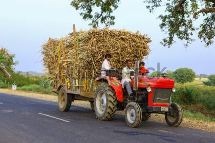 ಕಬ್ಬಿನ ಟ್ರಾಕ್ಟರ್‌ಗಳಿಗೆ ಬೆಂಕಿ ಹೊತ್ತಿರುವ ದುರ್ಘಟನೆ :  ರೈತ ಹಾಗೂ ರೈತಪರ ಸಂಘಟನೆಗಳ ತುರ್ತು ಹೇಳಿಕೆ