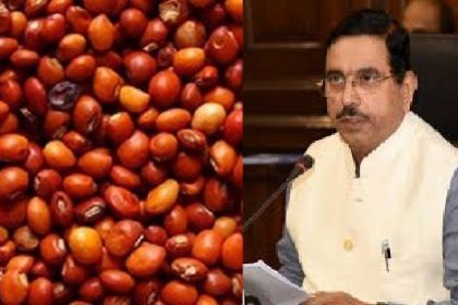 ಕೇಂದ್ರದಿಂದ   ರೈತರಿಗೆ ಗುಡ್‌ನ್ಯೂಸ್‌: ತೊಗರಿ ಖರೀದಿಗೆ ಕೇಂದ್ರ ಸರ್ಕಾರ ಅಸ್ತು