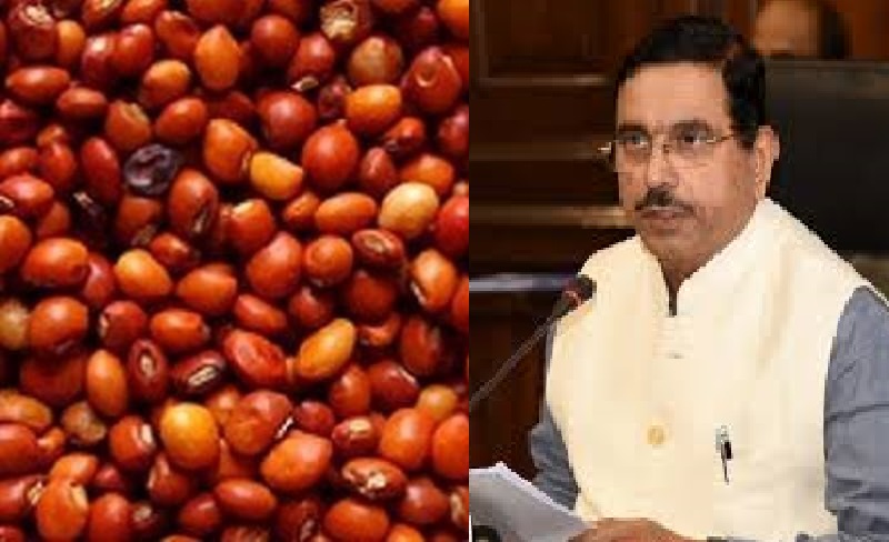 ಕೇಂದ್ರದಿಂದ ರೈತರಿಗೆ ಗುಡ್ನ್ಯೂಸ್: ತೊಗರಿ ಖರೀದಿಗೆ ಕೇಂದ್ರ ಸರ್ಕಾರ ಅಸ್ತು ಕೇಂದ್ರದಿಂದ ರೈತರಿಗೆ ಗುಡ್ನ್ಯೂಸ್: ತೊಗರಿ ಖರೀದಿಗೆ ಕೇಂದ್ರ ಸರ್ಕಾರ ಅಸ್ತು