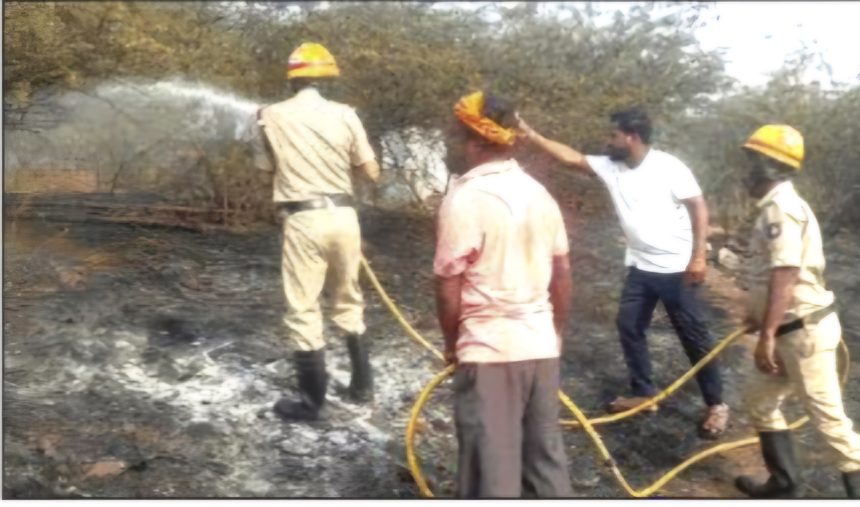 ಗುಡ್ಡಕ್ಕೆ ಆಕಸ್ಮಿಕ ಬೆಂಕಿ : ಅಗ್ನಿಶಾಮಕ ದಳದ ಸಕಾಲಿಕ ಕಾರ್ಯಾಚರಣೆ ; ತಪ್ಪಿದ ಅನಾಹುತ ಗುಡ್ಡಕ್ಕೆ ಆಕಸ್ಮಿಕ ಬೆಂಕಿ : ಅಗ್ನಿಶಾಮಕ ದಳದ ಸಕಾಲಿಕ ಕಾರ್ಯಾಚರಣೆ ; ತಪ್ಪಿದ ಅನಾಹುತ