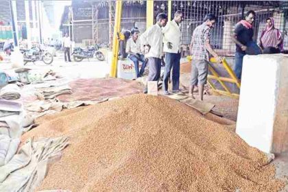 ಬೆಂಬಲ ಬೆಲೆ ಯೋಜನೆಯಡಿ ಕಡಲೆಕಾಳು ಉತ್ಪನ್ನ ಖರೀದಿ ಕೇಂದ್ರ ಆರಂಭ