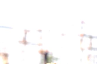 ಮಾ.೨೯ ರಿಂದ  ೩೯ನೇ ಶರಣ ಸಂಸ್ಕೃತಿ ಉತ್ಸವ