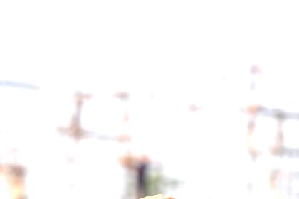 ಮಾ.೨೯ ರಿಂದ  ೩೯ನೇ ಶರಣ ಸಂಸ್ಕೃತಿ ಉತ್ಸವ