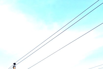 ರಾತ್ರಿಯ ವೇಳೆ   ಬಸವಣ್ಣ ಕಾಲುವೆಯ ಪಕ್ಕದ ರಸ್ತೆಯಲ್ಲಿ  ನಿಶ್ಚಿಂತ ಓಡಾಟಕ್ಕೆ  ಬೆಳಕು ನೀಡಿದ  ನಗರಸಭೆ .