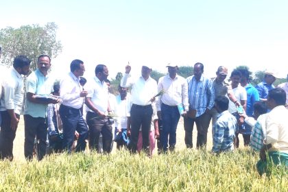 ಕುರುಗೋಡು: ಬೆಳೆಹಾನಿ ಪ್ರದೇಶಗಳಿಗೆ ಜಿಲ್ಲಾಧಿಕಾರಿ ನಾಗೇಂದ್ರ ಪ್ರಸಾದ್.ಕೆ ಭೇಟಿ 