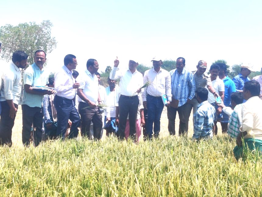 ಕುರುಗೋಡು: ಬೆಳೆಹಾನಿ ಪ್ರದೇಶಗಳಿಗೆ ಜಿಲ್ಲಾಧಿಕಾರಿ ನಾಗೇಂದ್ರ ಪ್ರಸಾದ್.ಕೆ ಭೇಟಿ ಕುರುಗೋಡು: ಬೆಳೆಹಾನಿ ಪ್ರದೇಶಗಳಿಗೆ ಜಿಲ್ಲಾಧಿಕಾರಿ ನಾಗೇಂದ್ರ ಪ್ರಸಾದ್.ಕೆ ಭೇಟಿ